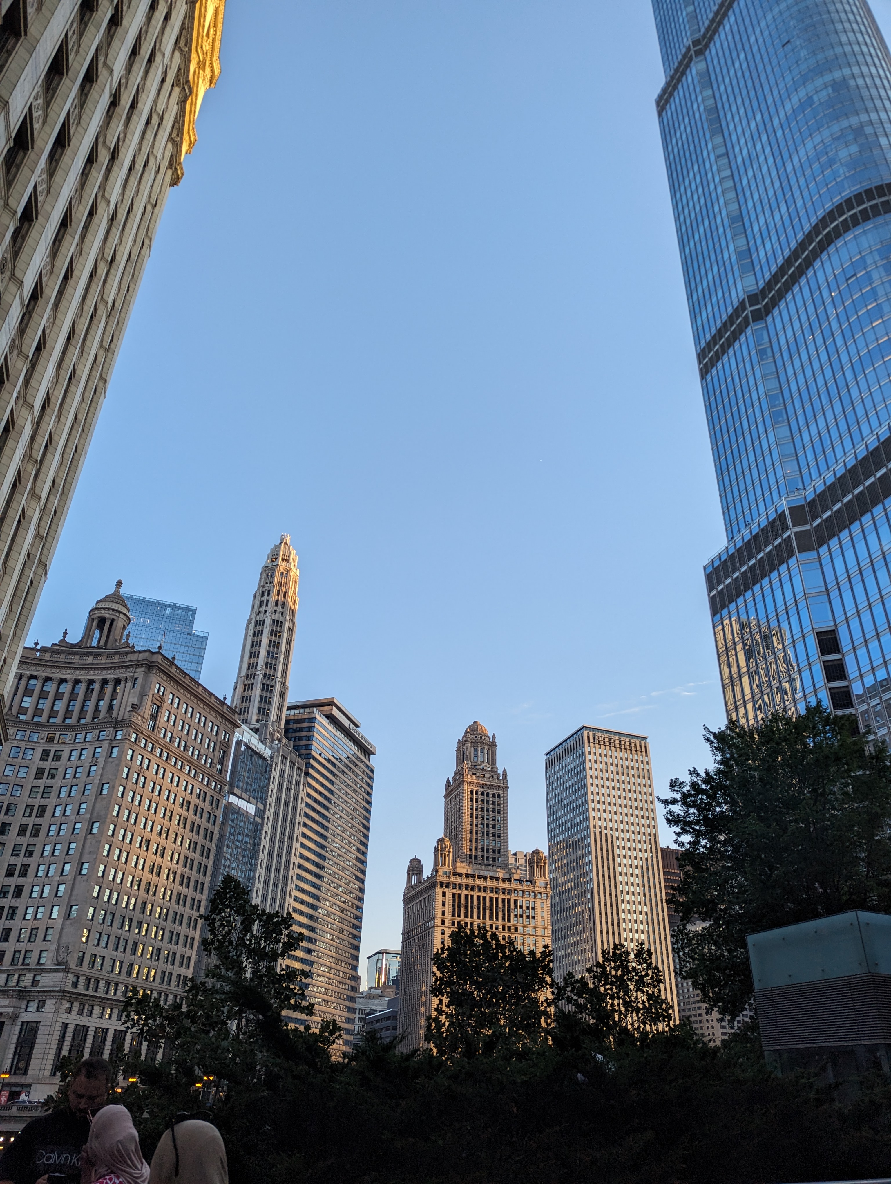 A group of tall buildings against a blue sky seen from street level. Trees branches and leaves along the bottom of the image, with some people's faces being visible in the bottom left.